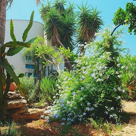 Casa Dada Holiday home Marinella di Selinunte